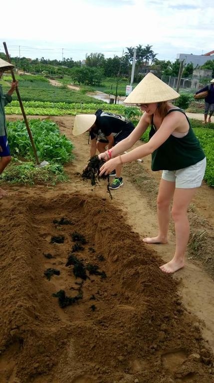 Green House Homestay Hội An Kültér fotó